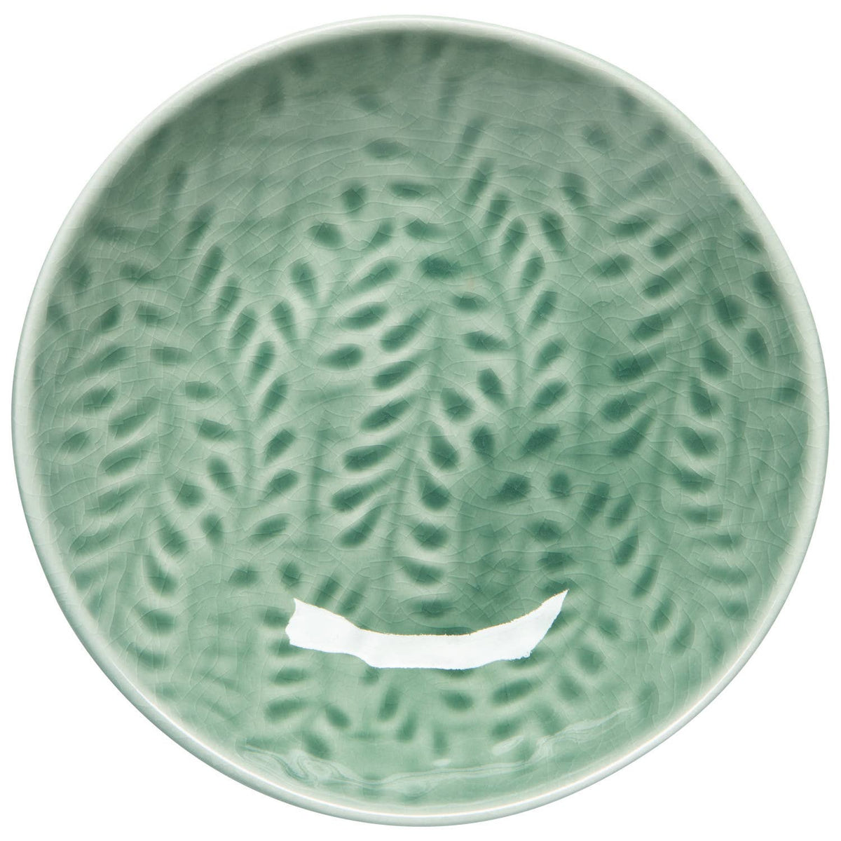 Opus Dish - Spruce