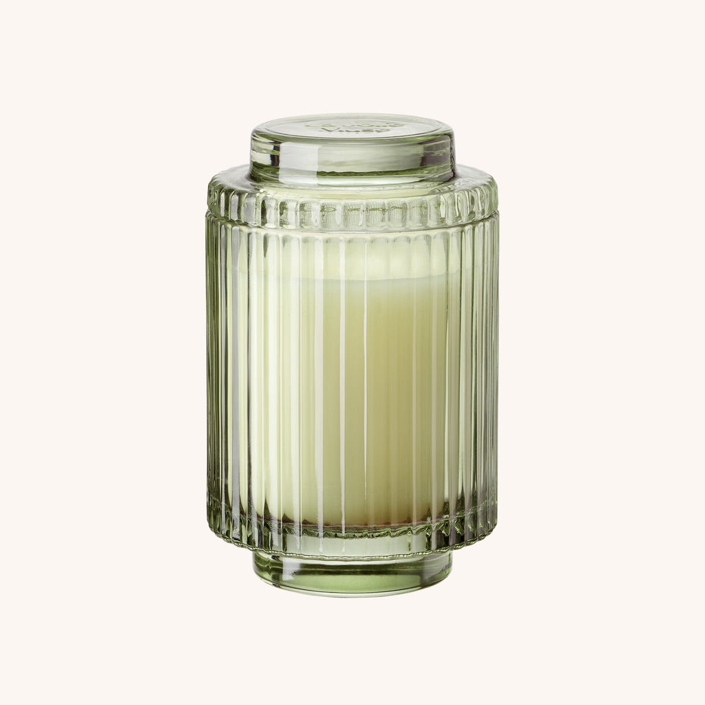 Amélie Kyoto Vine & Moss 11 oz candle by La Jolie Muse