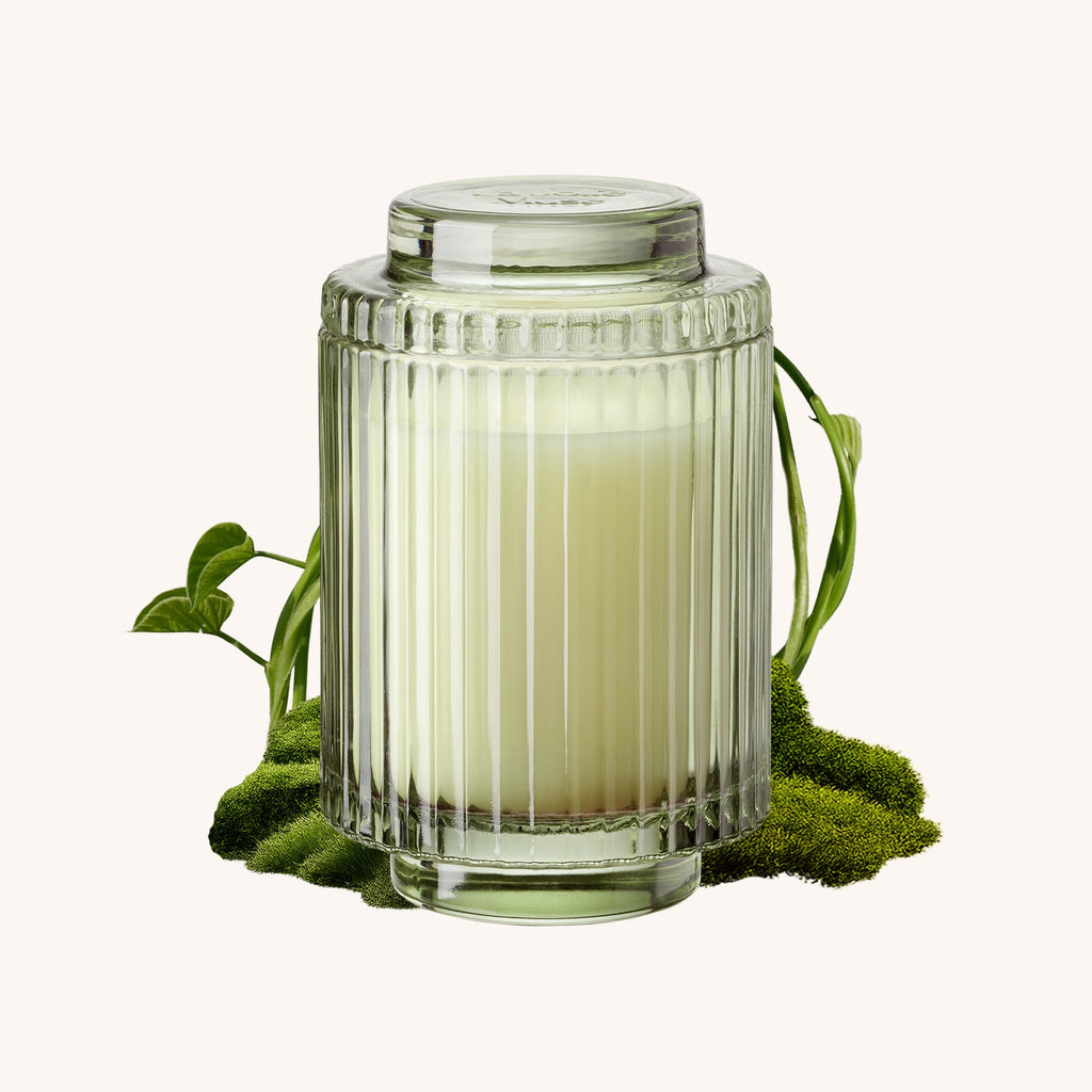 Kyoto Vine & Moss candle styled in a room