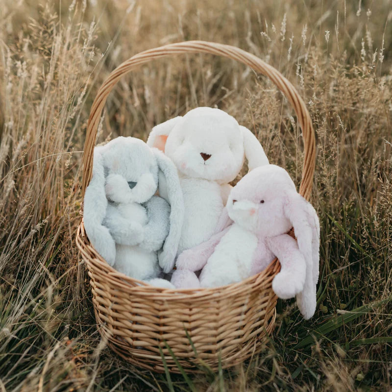 BABY BUNNY