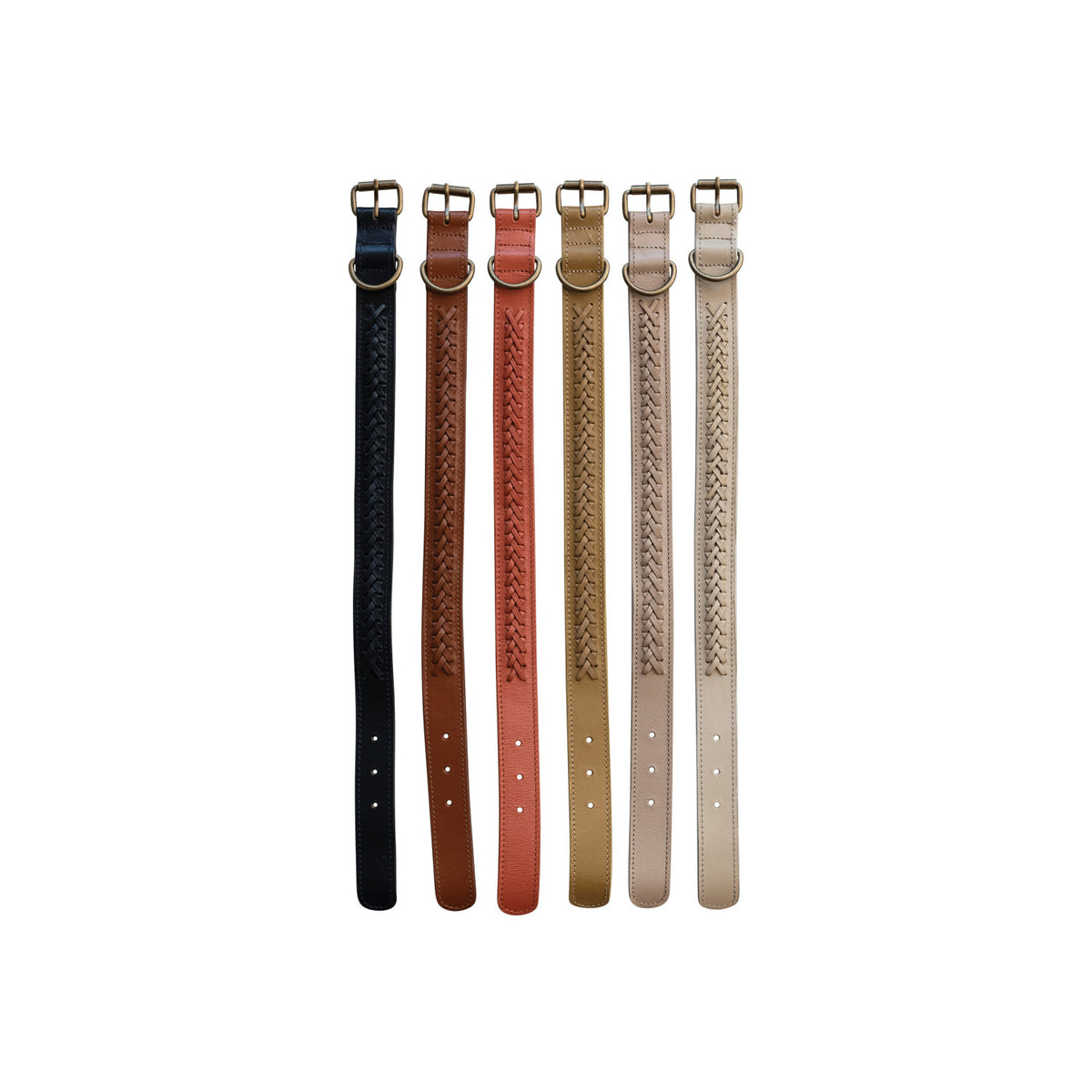 Braided Leather Dog Collar w/ Metal Buckle,  Medium