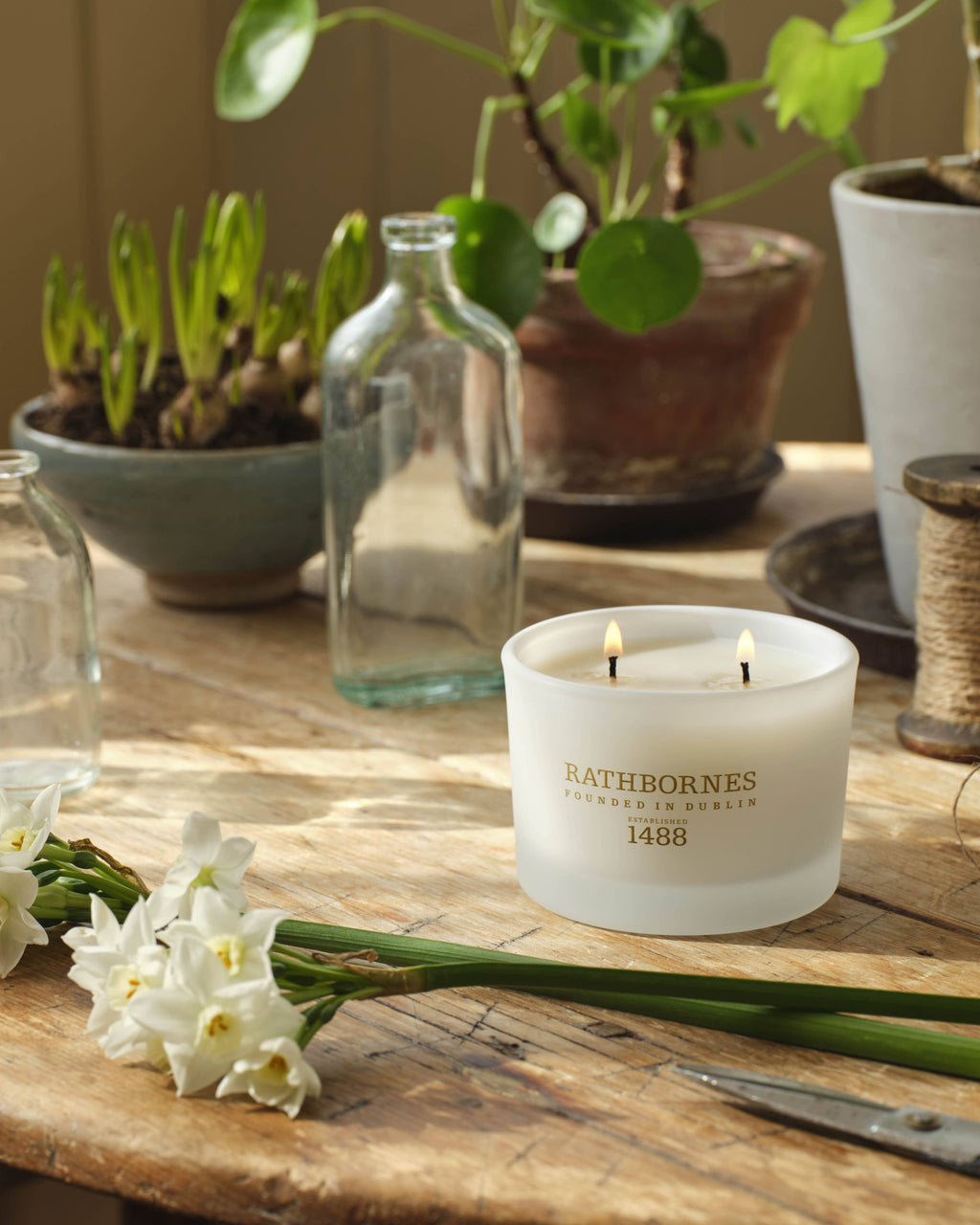 Dublin Tea Rose, Oud & Patchouli Scented Classic Candle