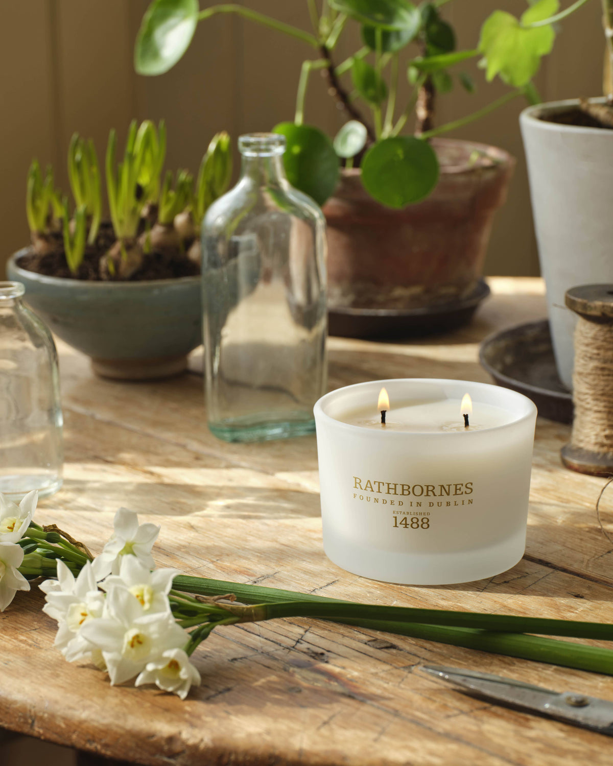 Dublin Tea Rose, Oud & Patchouli Scented Classic Candle